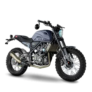 MB Hornet 300