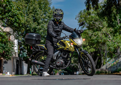 Vento_Ryder_190_-_Galgo_M_xico_Lifestyle_1